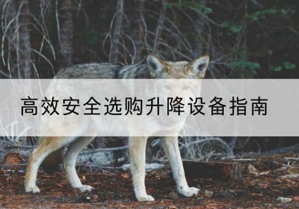 北仑升降货梯厂家推荐-*安全选购升降设备指南