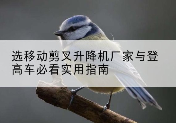 北仑电动升降机厂家-选移动剪叉升降机厂家与登高车必看实用指南