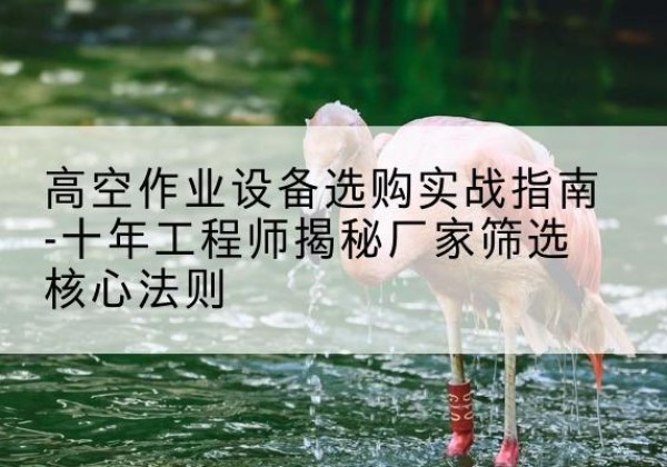 北仑剪叉式升降机厂家-高空作业设备选购实战指南-十年工程师揭秘厂家筛选核心法则